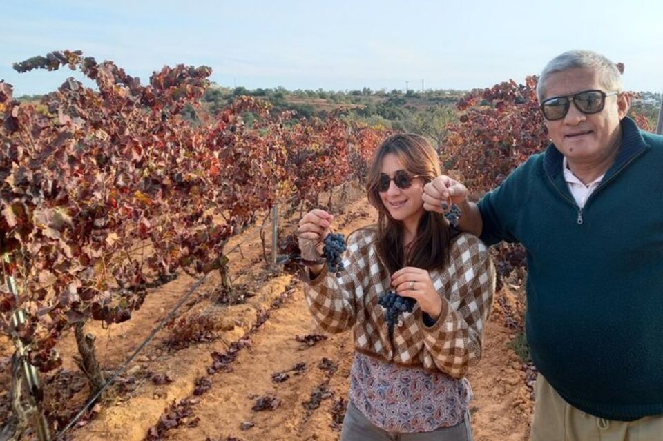 Albufeira/Vilamoura: Winery Tour with Wine Tasting and Tapas - Final Thoughts