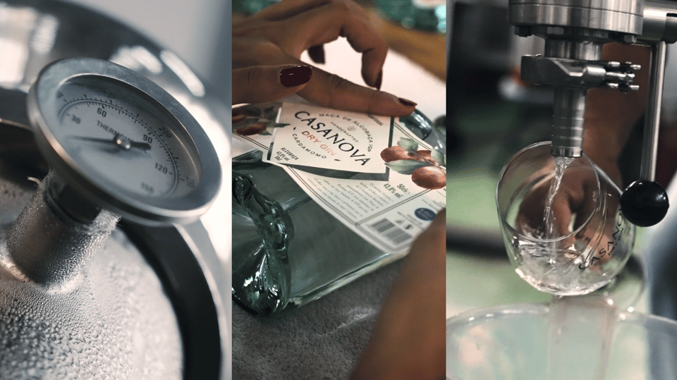 Alcobaça: Visit to the Lemos Figueiredo Winery and Distillery - What to Expect: A Closer Look