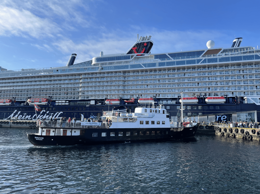 Ålesund: Archipelago Fjord Cruise - Who Will Enjoy This Cruise?