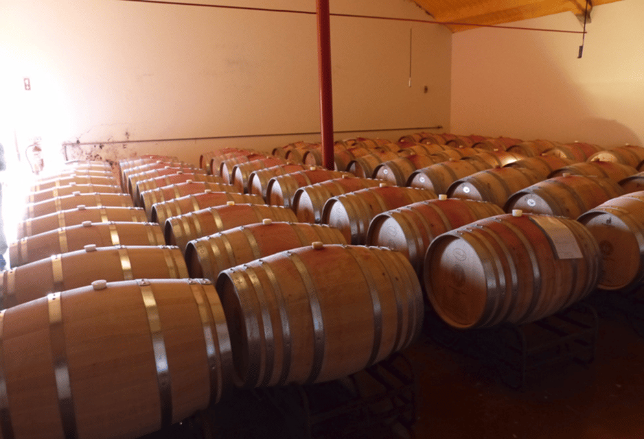 Algarve Wine Tour of two estates guided by wine expert - Why This Tour Offers Great Value