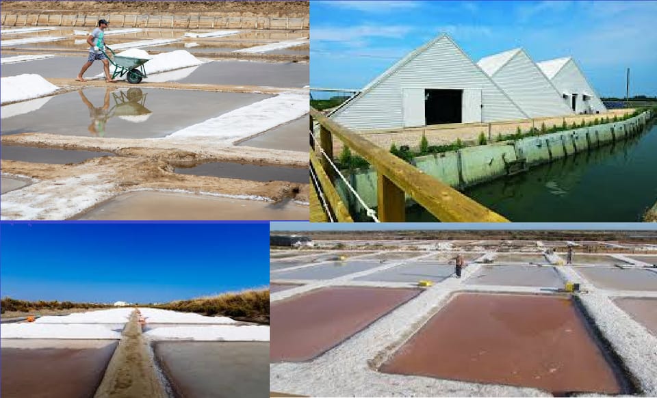 ALGARVE'S SALT TRAIL - Why This Tour Offers Good Value