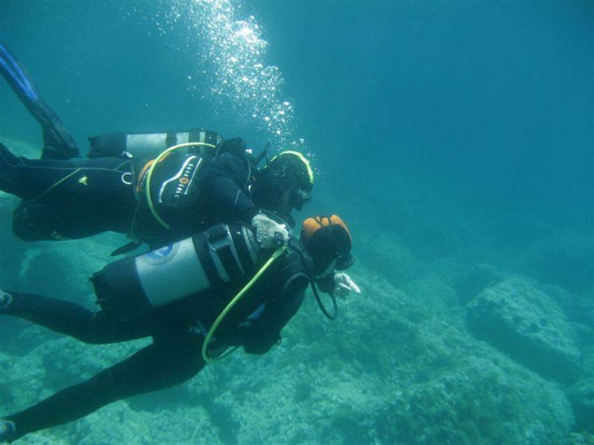 Alghero: discovery diving lesson for beginners - Meeting Points and Duration