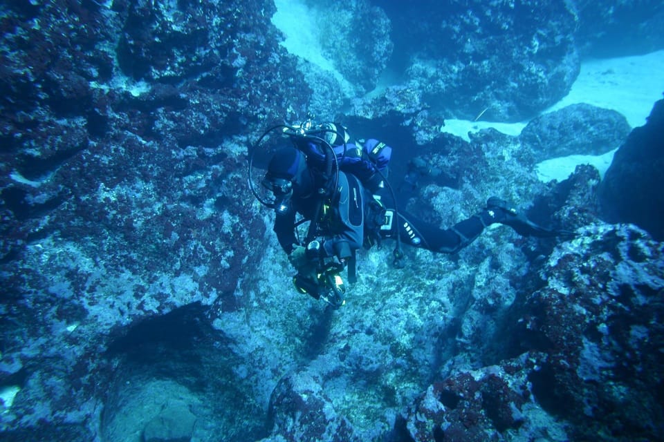 Alghero: Diving for Professionals at Capo Caccia - Safety and Requirements