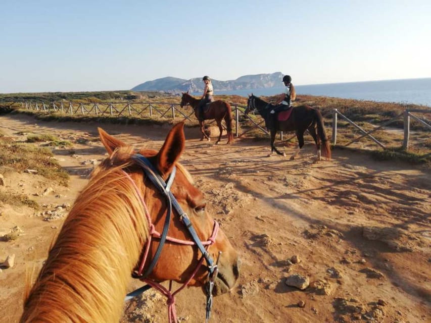Alghero: horseback riding for experts in Lake Baratz - What to Expect and Practical Details