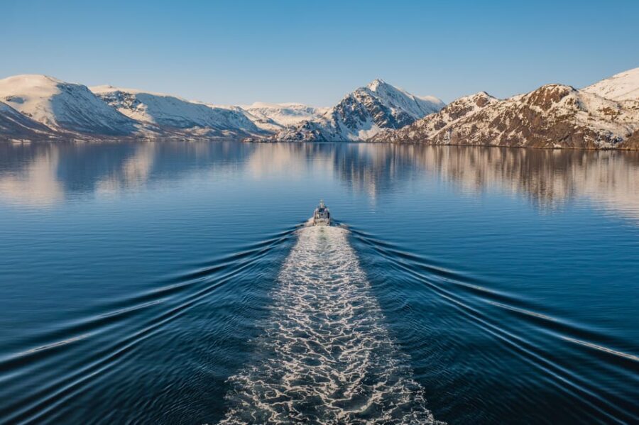 Alta: Altafjord Whale Watching in a Heated Boat - How Does This Tour Compare in Value?