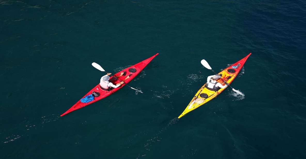 Amalfi: Kayak & Snorkeling, Sea Caves and Natural Arches - Itinerary Highlights