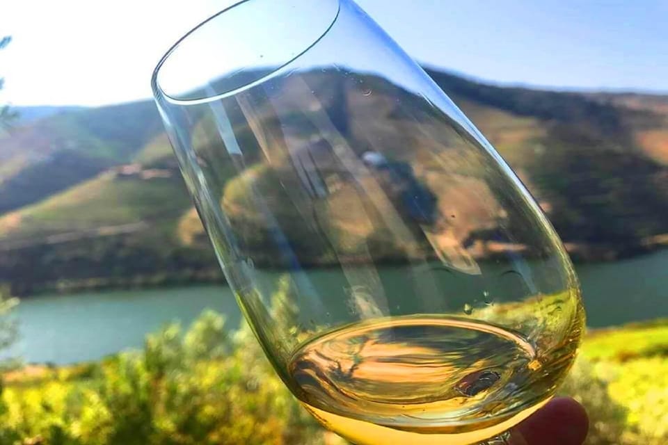 Amarante: e-Bike Tour and Vinho Verde - from Porto - A Practical Guide to the Amarante e-Bike and Vinho Verde Tour