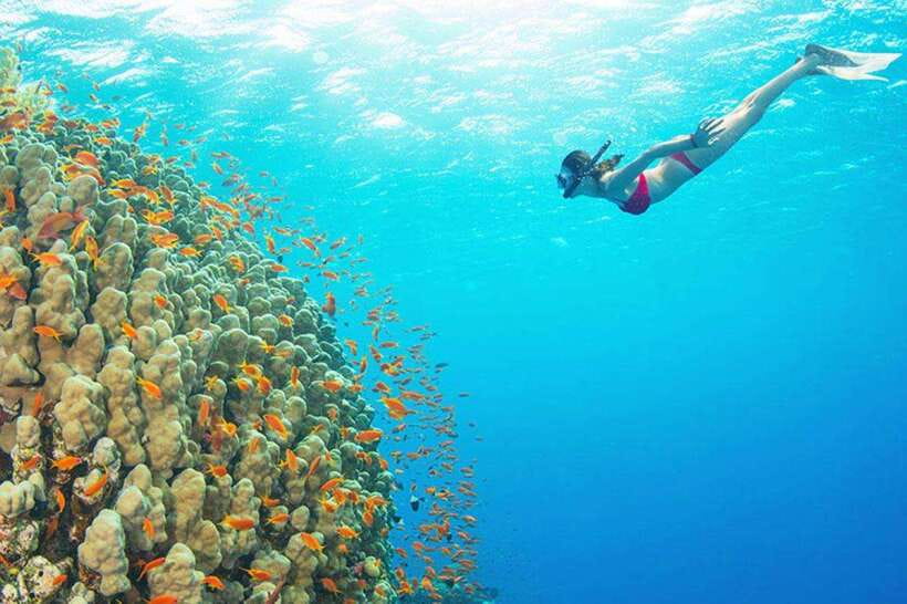 Amed: Snorkeling Tour with Japanese Shipwreck and Coral - The Itinerary: A Step-by-Step Look