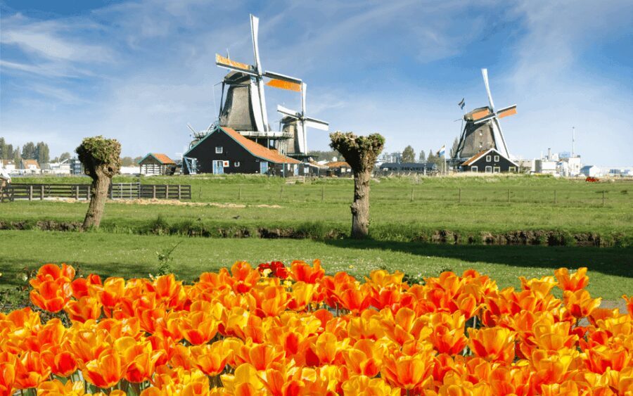 Amsterdam: Keukenhof and Zaanse Schans Windmills Day Trip - Who This Tour Is Best For