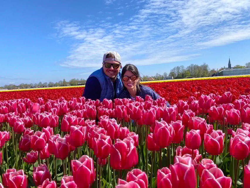 Amsterdam: Tulip Fields Day Tour with Lunch & Windmill - What to Expect and How the Day Unfolds
