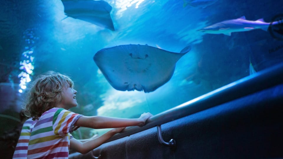 Antalya: Aquarium and Wax Museum Entry Ticket - The Face 2 Face Wax Museum