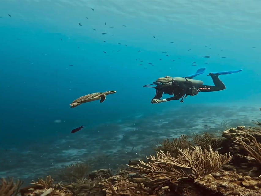 Antalya, Side and Alanya: Scuba Diving with Lunch & 2 Dives - What to Expect From the Tour