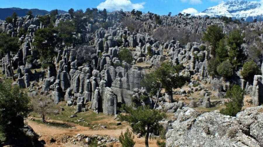Antalya Taz Canyon &Rafting with Optional Safari Adventures - Final Thoughts: Is This the Adventure for You?