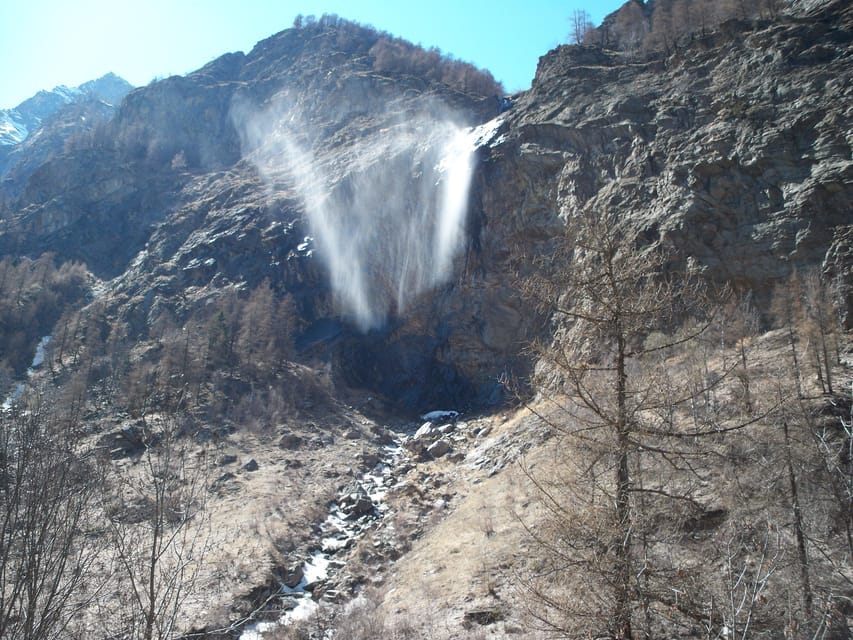Aosta Valley: Snowshoe Lessons in Enchanted Winter Forests - The Experience Provider and Customer Feedback