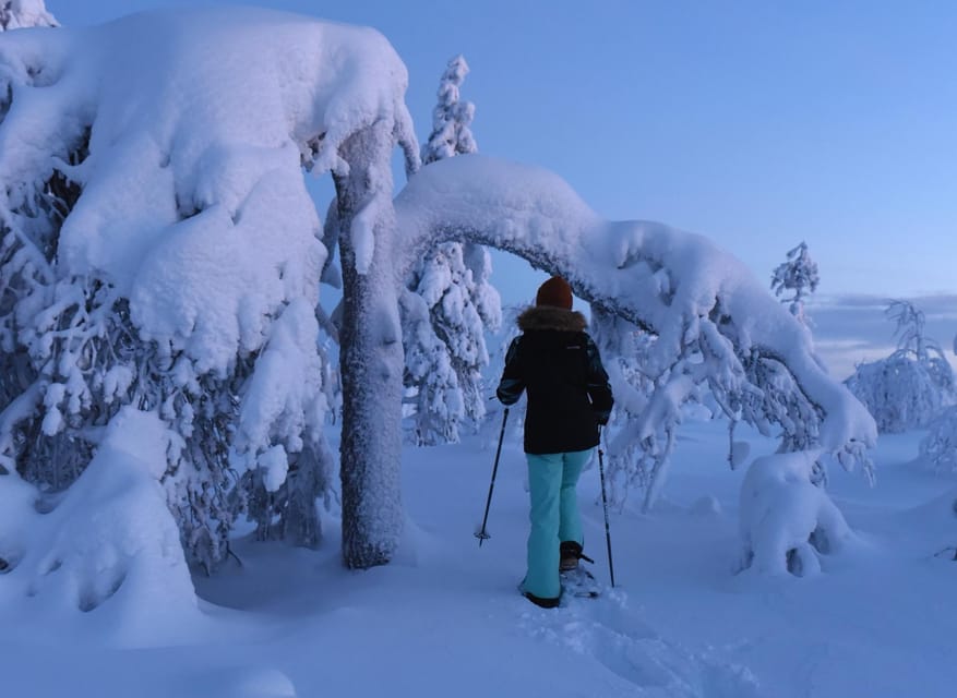 Arctic Reindeer Farm Experience with Snowshoeing in the Wild - What You Can Expect: The Day Unfolds