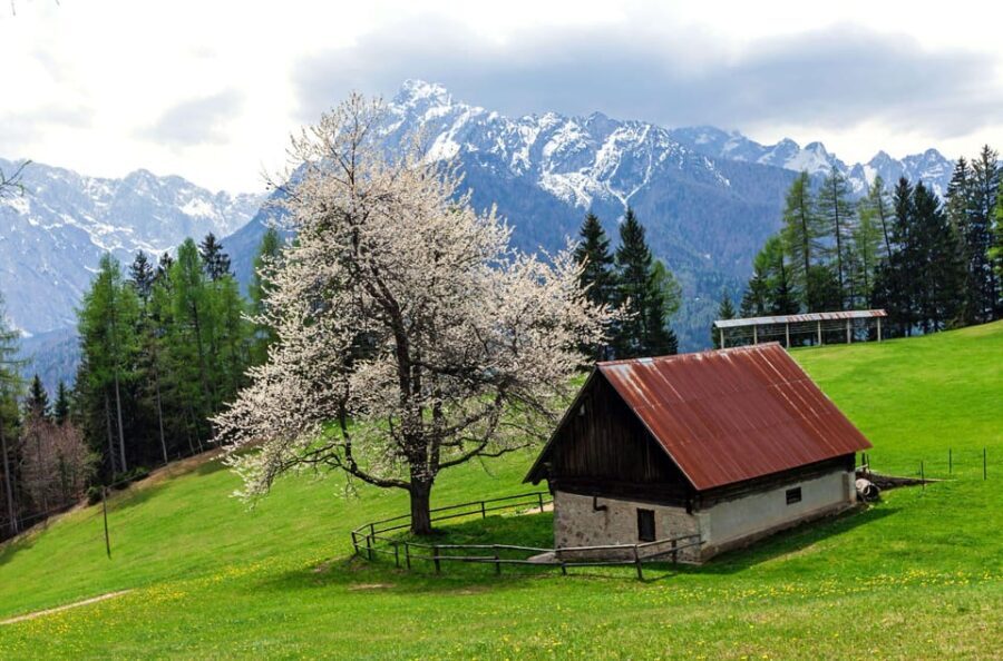 Authentic Slovenia: A Mystery Travel Day Tour - The Highlights: Discovering Hidden Gems