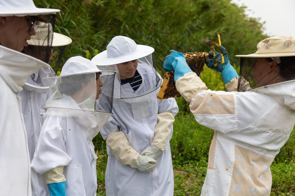 Azores Beekeeping Tour and Honey Taste - Practical Details and Value