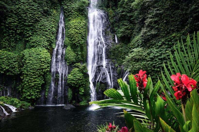 Bali: 3-Day North Bali Tour with Dolphin Watching - What It All Means for Travelers