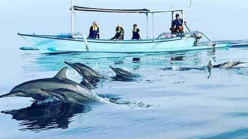 Bali: 5-Day North Bali Coastal Wine & Dolphin Tour Package - Practical Details and What to Expect