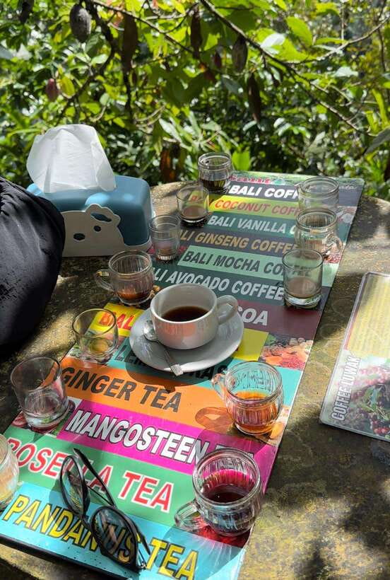Bali, all inclusive of ubud private tour - Who Should Consider This Tour?