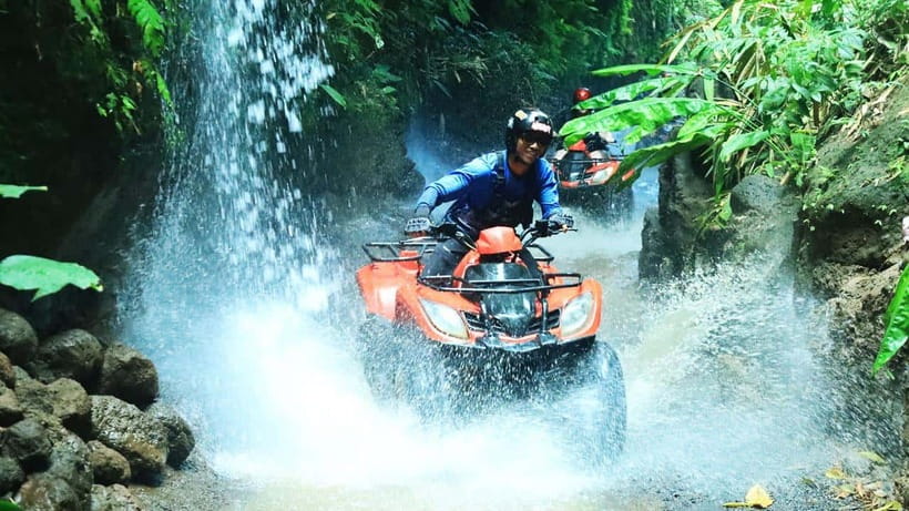 Bali: ATV Quad Bike, Monkey Forest, Jungle Swing with Lunch - What Makes This Tour Stand Out?