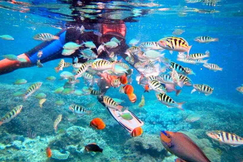 Bali: ATV Ride and Snorkeling Tour with Hotel Transfer - Snorkeling in Bali’s Pristine Waters