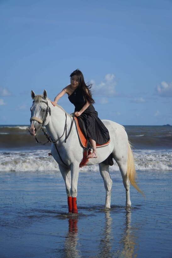 Bali: Bali Beach Horse Riding Experience - What to Expect on Your Bali Beach Horse Riding Tour