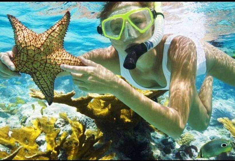 Bali: Blue Lagoon and Tanjung Jepun Snorkeling Trip - The Sum Up