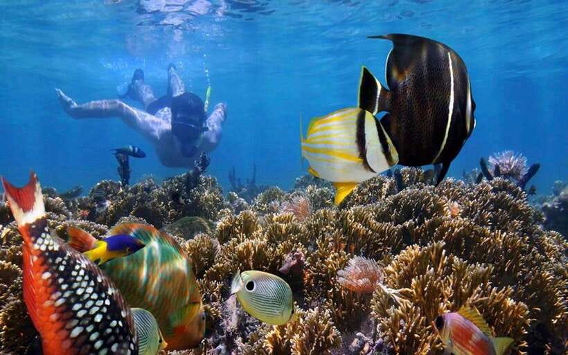 Bali Blue Lagoon Snorkeling Tour - Exploring the Itinerary
