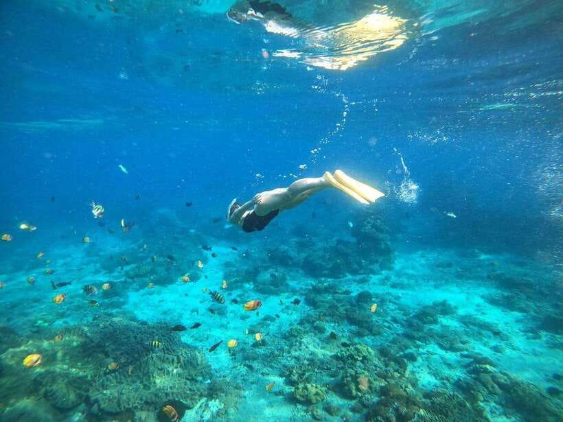 Bali: Blue Lagoon Snorkeling with Meal - Who Will Enjoy This Tour?