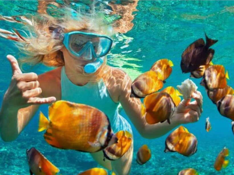 Bali: Blue Lagoon & Tanjung Jepun Snorkeling & lunch - Why This Tour Stands Out