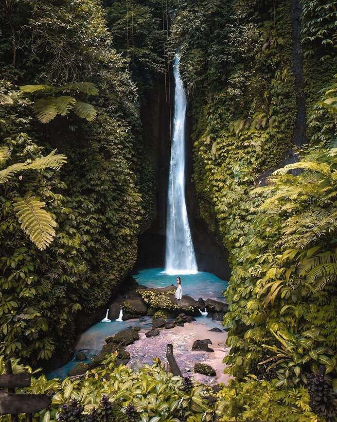 Bali: Discover Jungle Waterfalls and Rice Terraces - The Cultural and Scenic Highlights: Rice Terraces and More