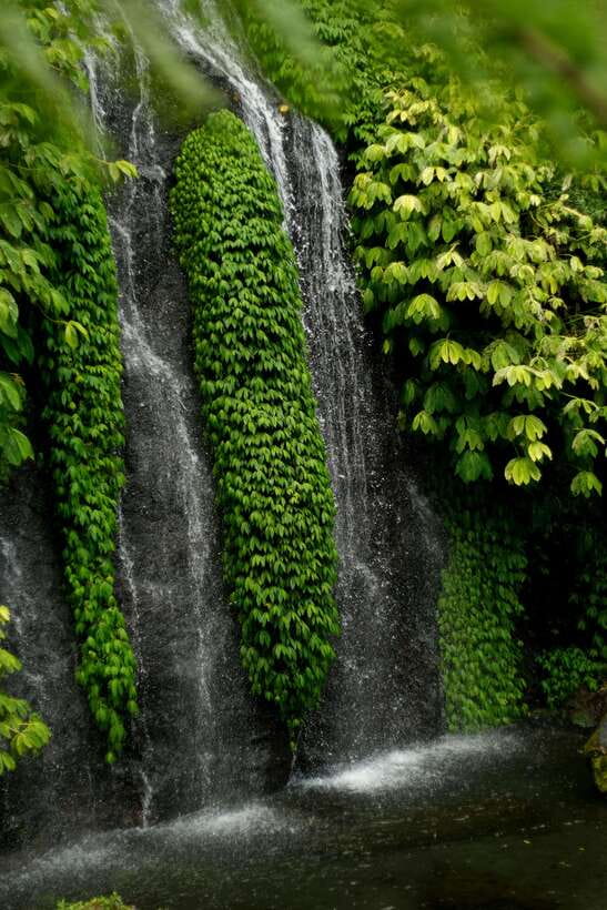Bali: Dolphin Watching, Waterfall, Wanagiri and Ulun Danu - What Makes This Tour Stand Out?