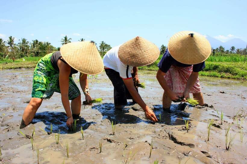 Bali: Experience Authentic Balinese Life Private Tour - Practical Details and What To Expect