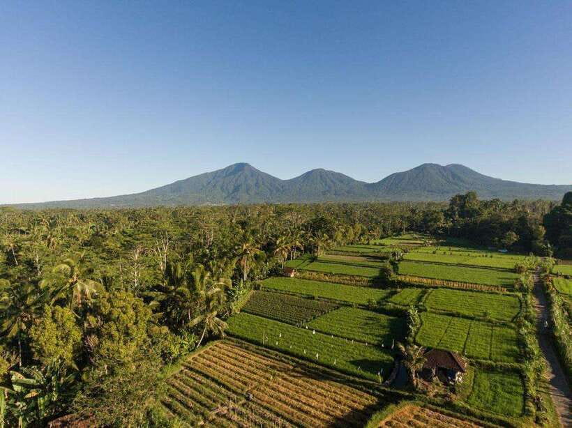Bali Experience: Dance, Purification, & Culinary Journey - Practical Details and What to Expect