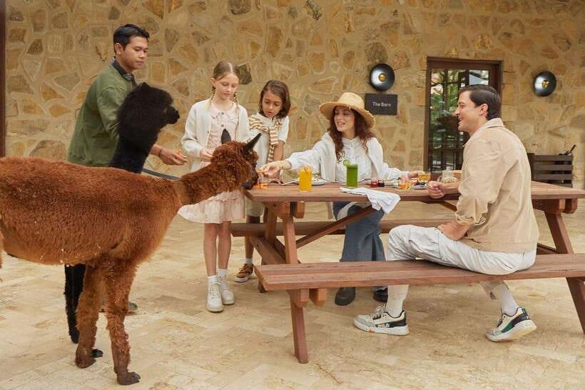 Bali: Farm House Experience with Entry Ticket & Options - What Makes the Bali Farm House Experience Special?