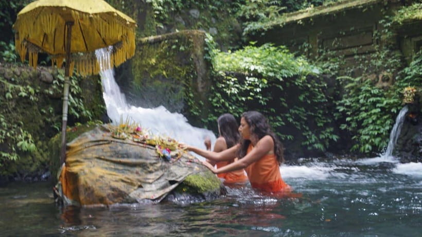Bali: Holy Water Purification and Palm Reading Tour - The Experience for Different Travelers