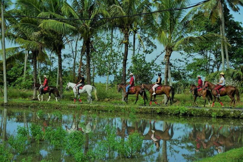 Bali: Horse Riding on Pigstone Beach and in the Rice Fields - The Experience of Riding in Bali’s Natural Settings