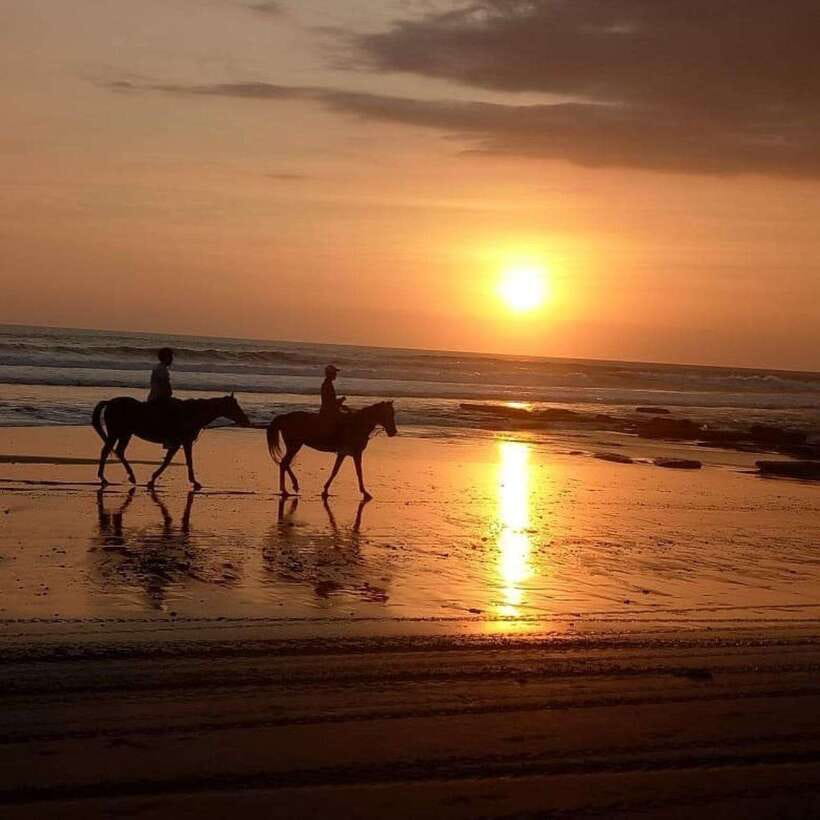 Bali: Horse Riding on the Beach and Rice field Tour - What You Can Expect