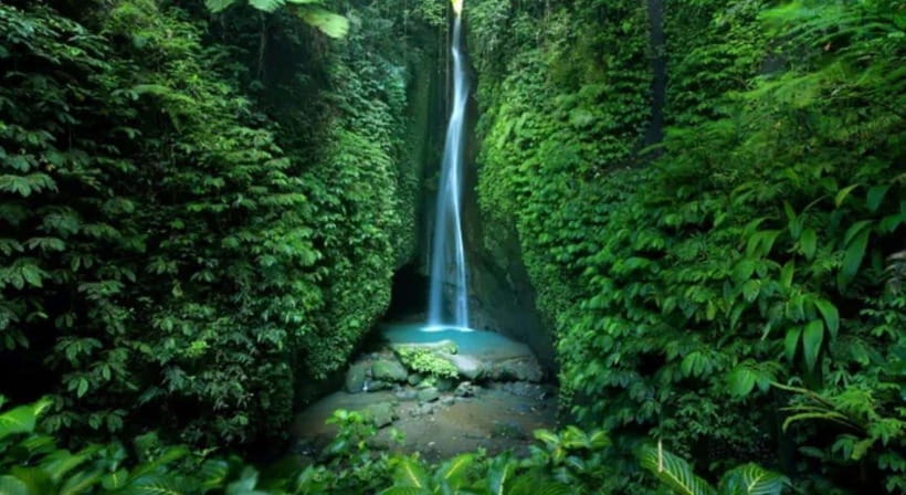 Bali: Jatiluwih Rice Terraces, Water Temple, Waterfall Tour - Jatiluwih Rice Terraces: A UNESCO World Heritage Site