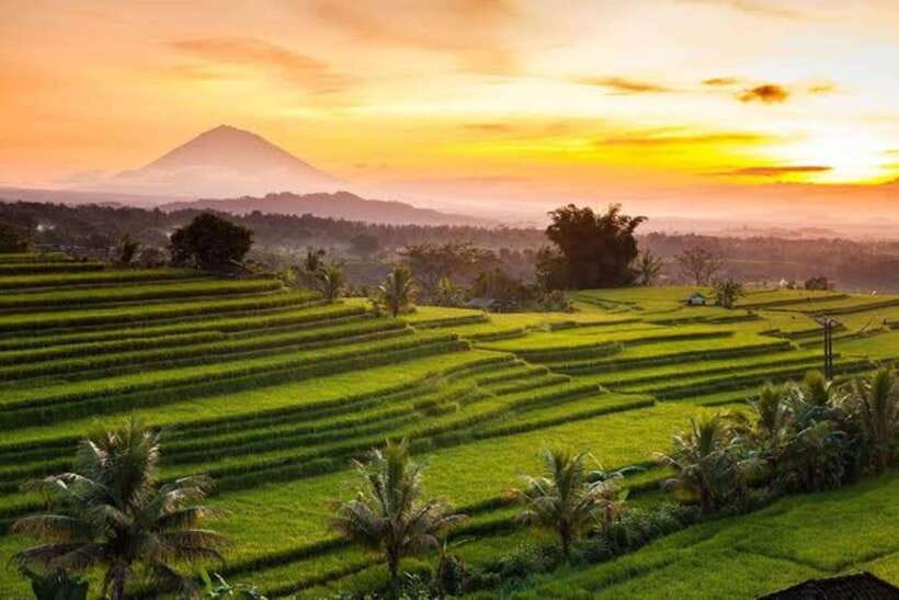 Bali: Jatiluwih UNESCO, Bratan Lake, Iconic Gate & Tanah Lot - Final Thoughts: Is This Tour for You?