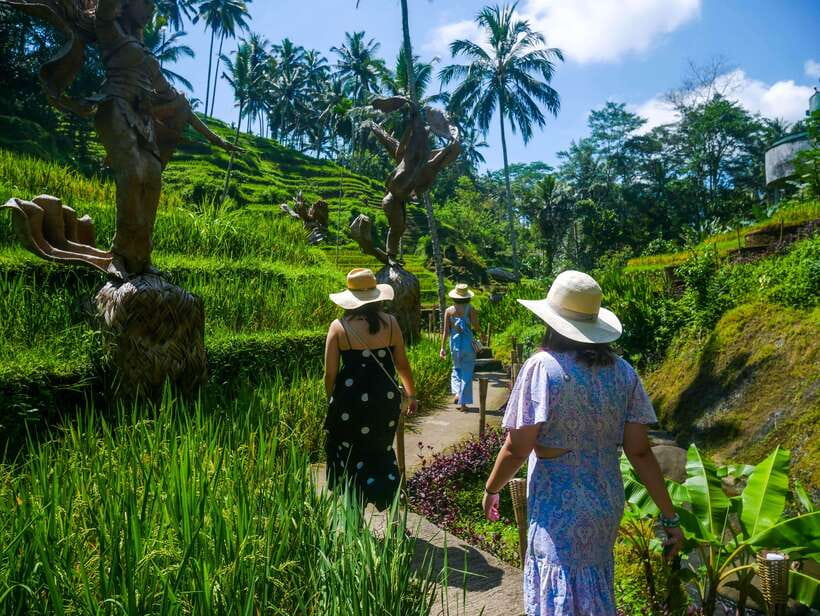 Bali: Kintamani, Tegalalang and Coffee Plantation Tour - What You Can Expect from the Tour