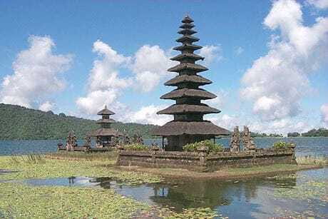 Bali: Lovina Beach and Bedugul Mountain Private Tour - What Travelers Love and Find Challenging