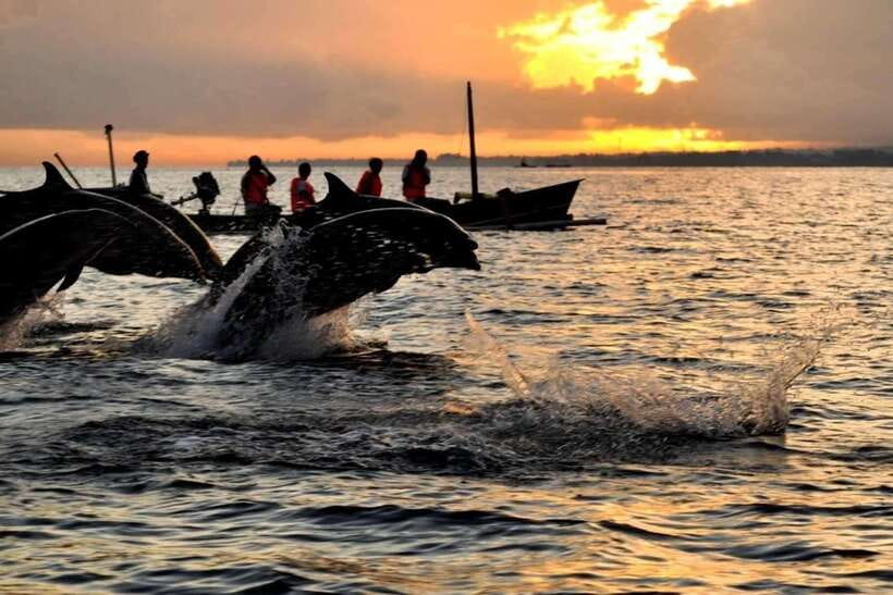 Bali/Lovina: Dolphin Snorkeling, Swimming & Waterfall Tour - Who Should Consider This Tour?