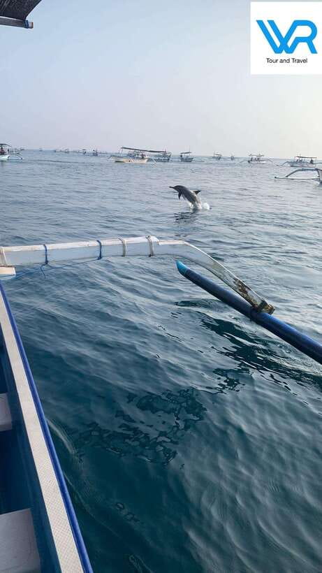 Bali : Lovina Dolphin & Swim, Snorkeling, 2 Destination stop - Why Choose This Tour?