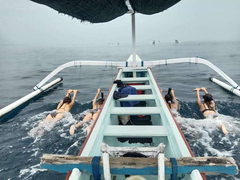 Bali: Lovina Dolphin Watching and Snorkeling Tour - Who Is This Tour Best For?