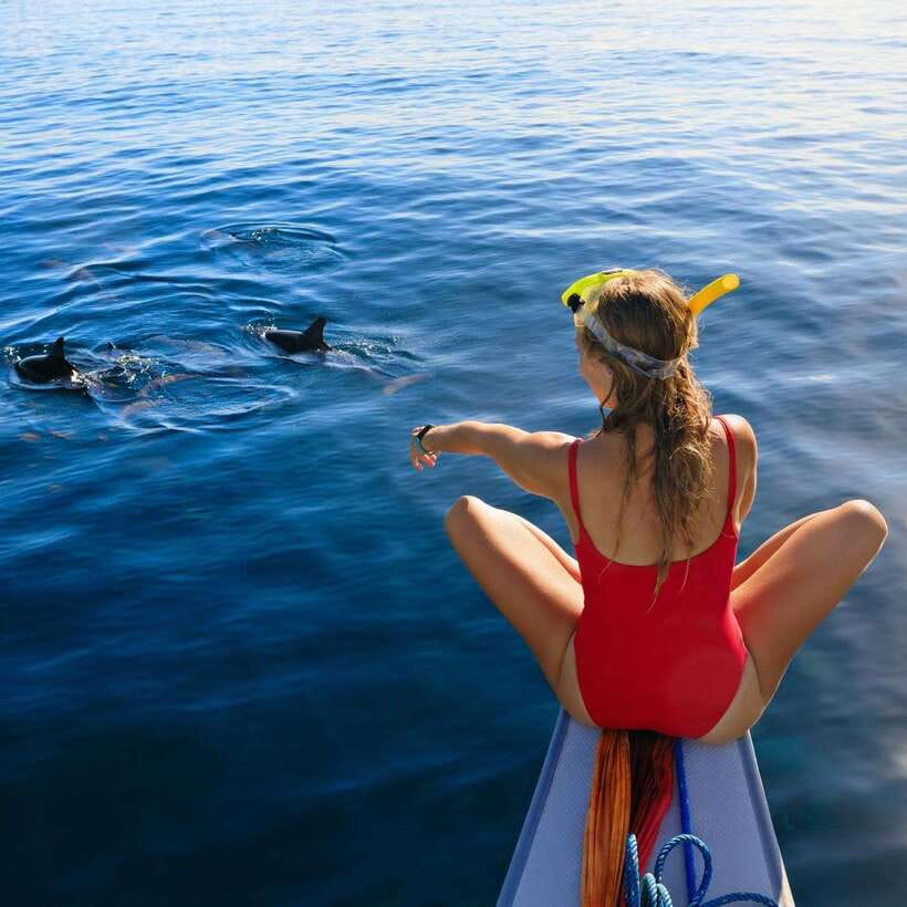 Bali: Lovina Dolphin Watching and Snorkeling Tour - The Itinerary in Detail