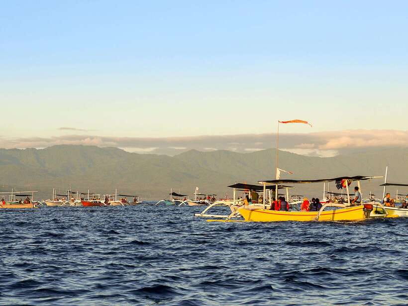 Bali: Lovina Marine Wonders, Dolphin Swim & Snorkeling. - The Itinerary in Detail