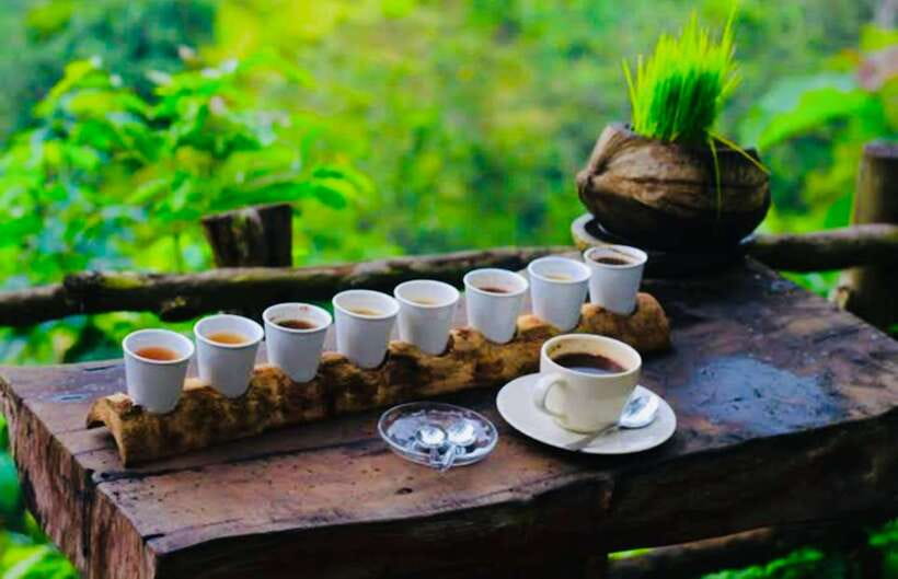 Bali: Mount Batur Sunrise Jeep and Black Lava With Breakfast - Practical Details and Tips