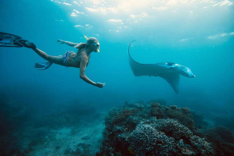 Bali/Nusa Penida: Manta Point Snorkel Boat & West Coast Tour - Snorkeling at Manta Point: The Main Attraction